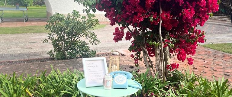 Whatsapp Image 2024-12-14 At 11.16.51